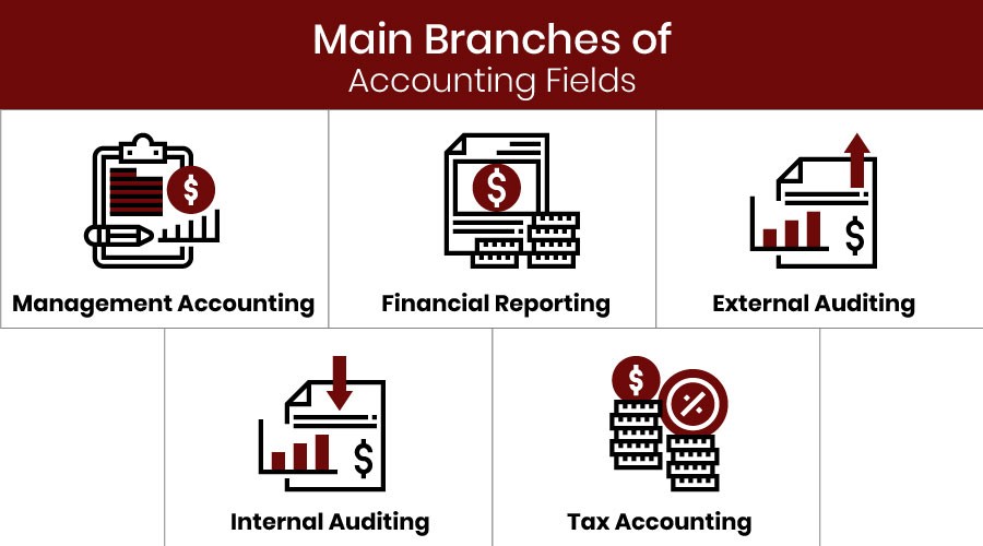 Explore a variety of roles and responsibilities through different branches of accounting.